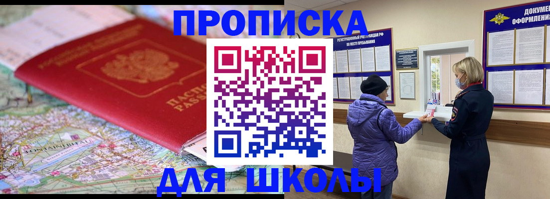 временная регистрация поиск в Лузе